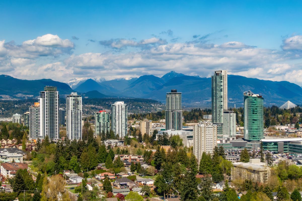 The Role of Community and Cultural Leaders in Assault Defense Support